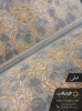 نمای نزدیک پشتی صدف طلاکوب فیلی